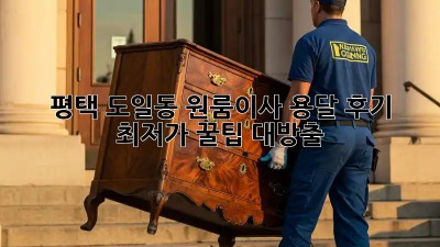 평택 도일동 원룸이사 용달 후기: 최저가 꿀팁 대방출! ✨