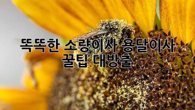 📦 똑똑한 소량이사, 용달이사 꿀팁 대방출! 🚚💨