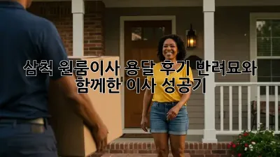 삼척 원룸이사 용달 후기: 반려묘와 함께한 이사 성공기!