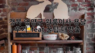 경북 영양군 원룸이사 용달 후기 🚚📦✨ (feat. 꿀팁 대방출!)